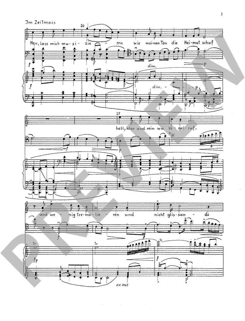 Der Cellospieler op. 39